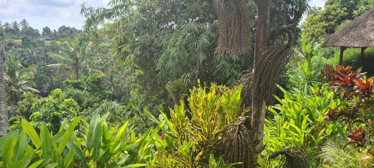 Rumah Sungai Villa Ubud  Ngoại thất bức ảnh