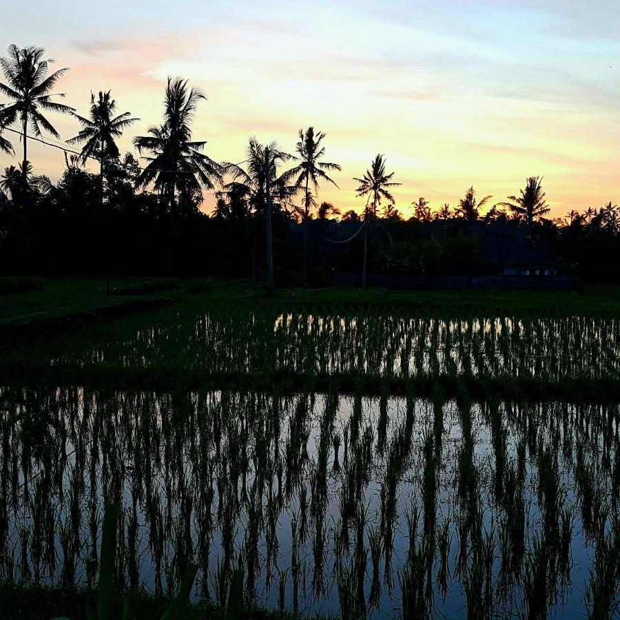 Rumah Sungai Villa Ubud  Ngoại thất bức ảnh