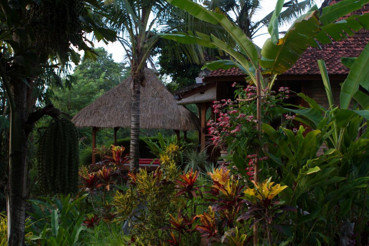 Rumah Sungai Villa Ubud  Ngoại thất bức ảnh