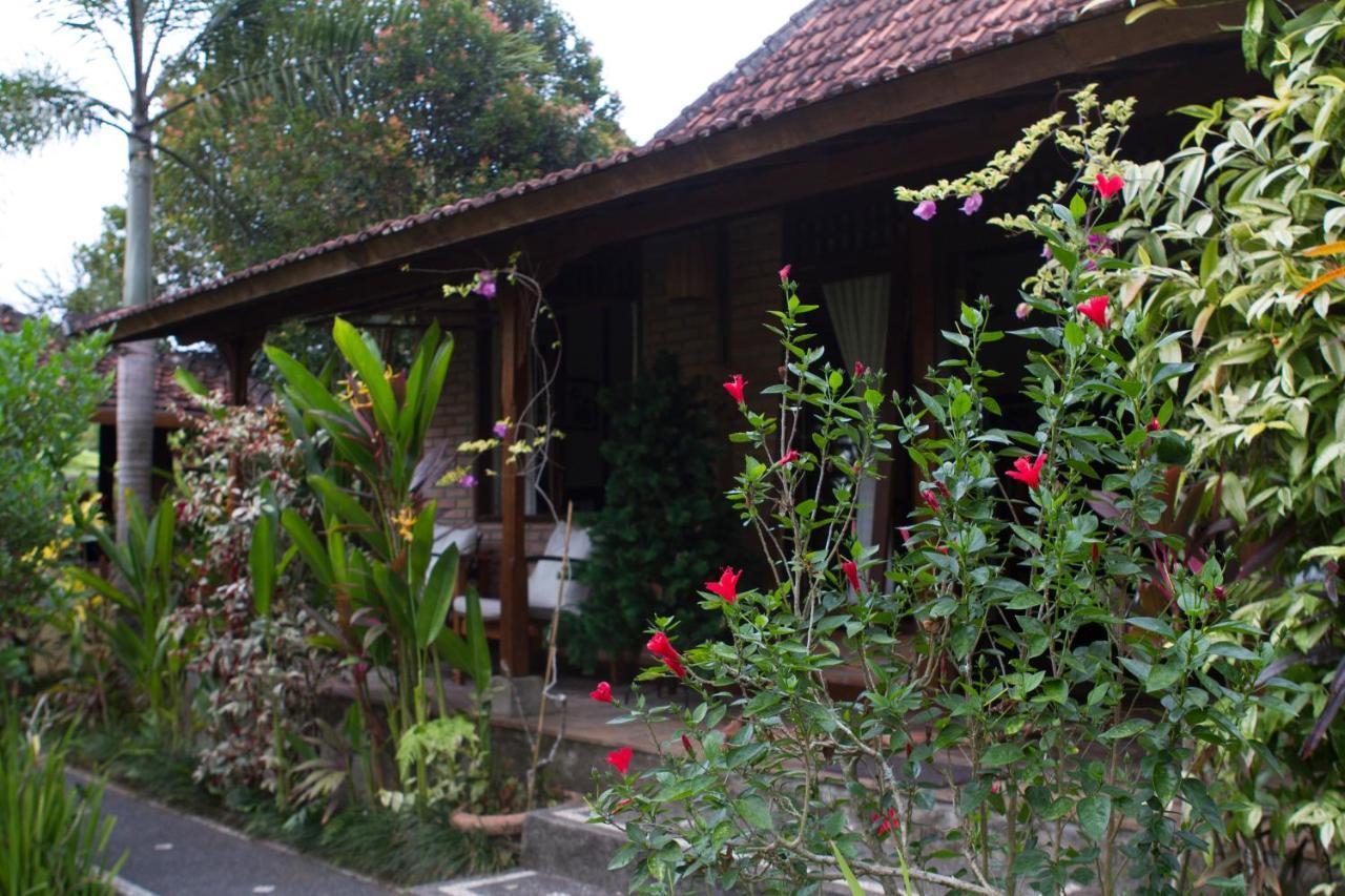 Rumah Sungai Villa Ubud  Ngoại thất bức ảnh