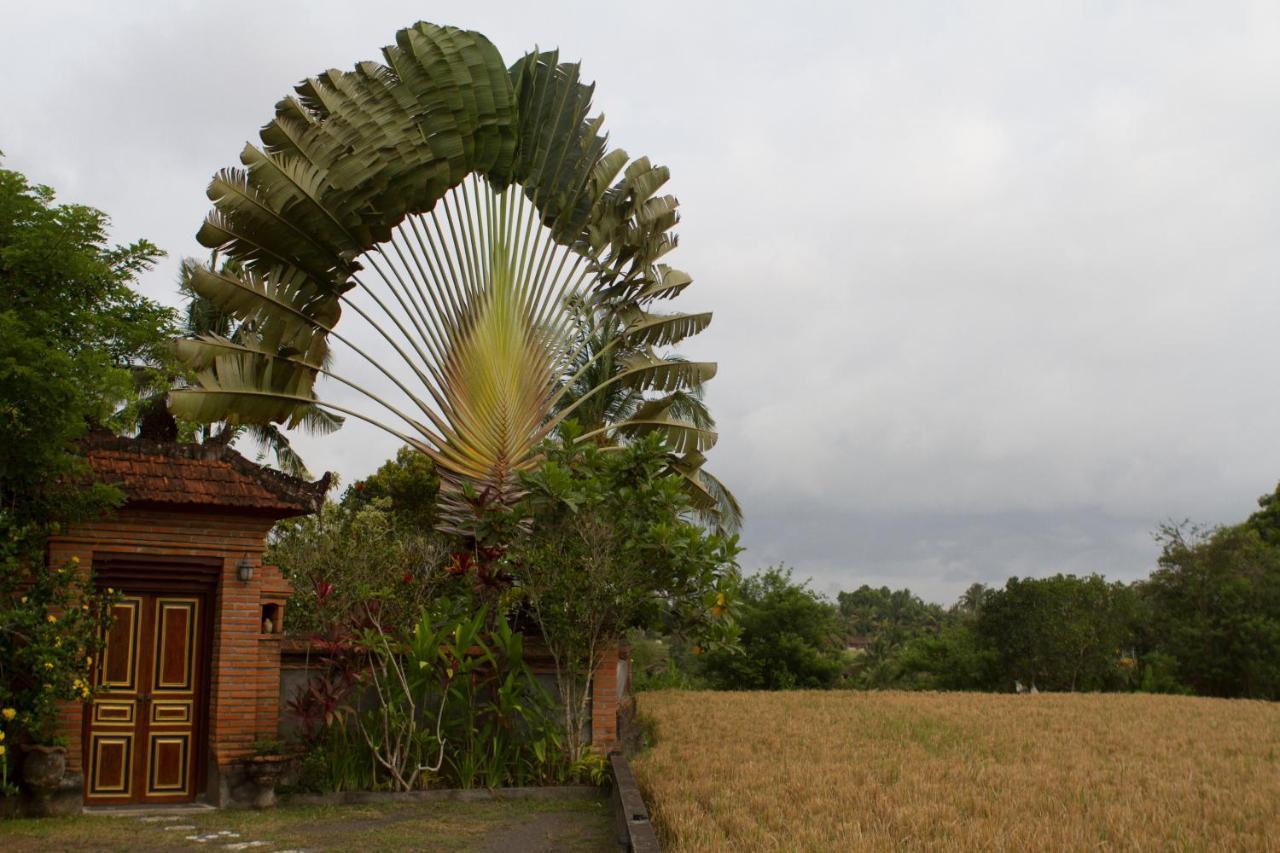 Rumah Sungai Villa Ubud  Ngoại thất bức ảnh