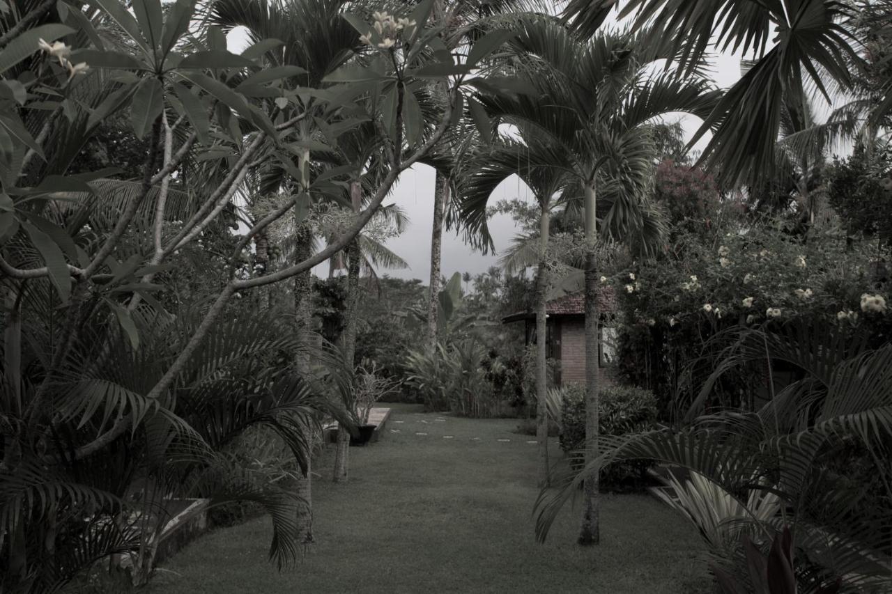 Rumah Sungai Villa Ubud  Ngoại thất bức ảnh