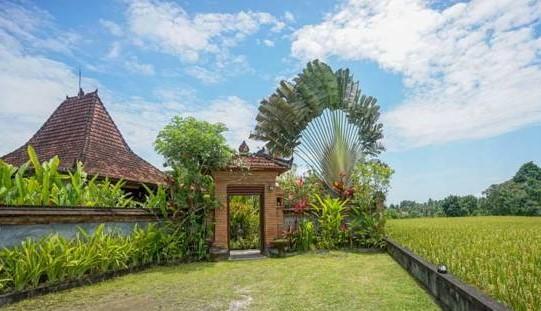 Rumah Sungai Villa Ubud  Ngoại thất bức ảnh