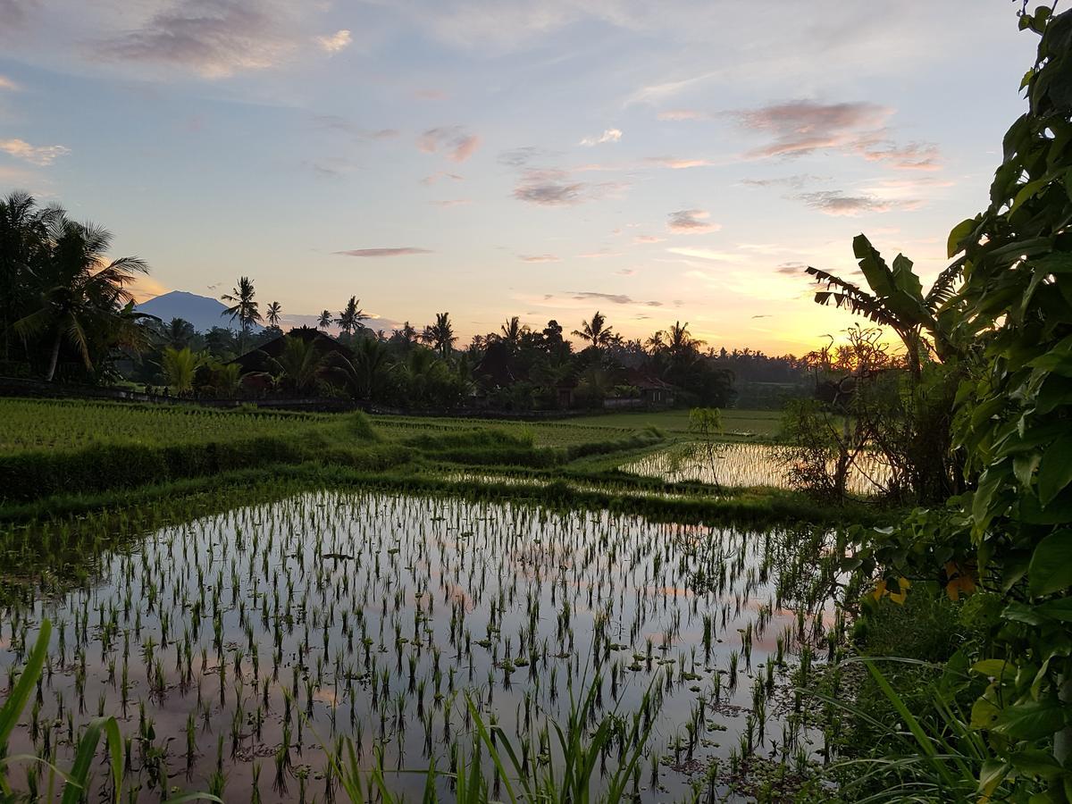 Rumah Sungai Villa Ubud  Ngoại thất bức ảnh