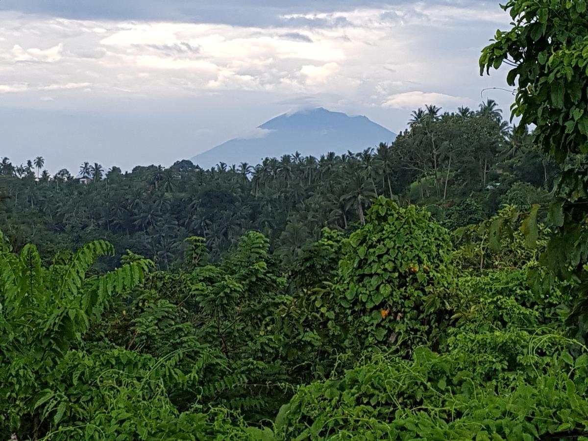 Rumah Sungai Villa Ubud  Ngoại thất bức ảnh