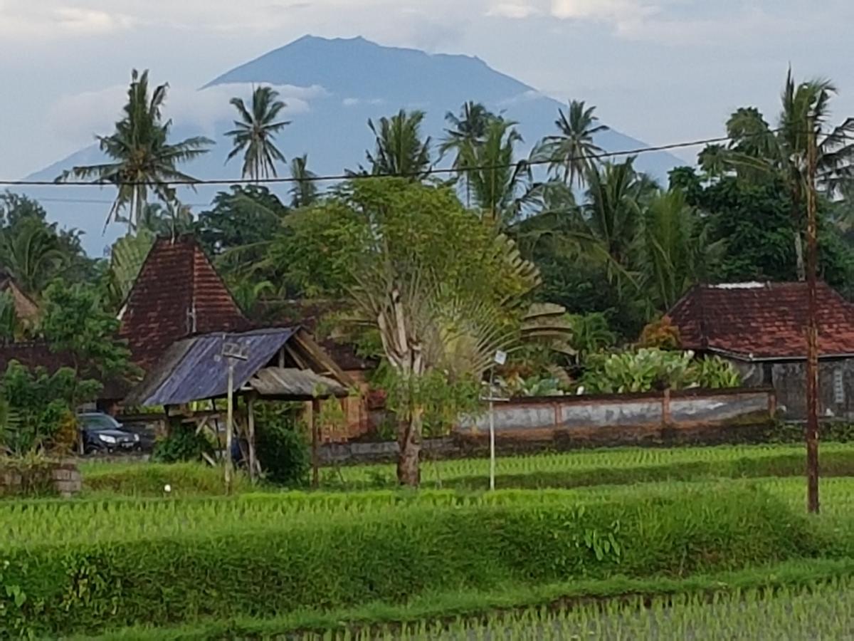 Rumah Sungai Villa Ubud  Ngoại thất bức ảnh